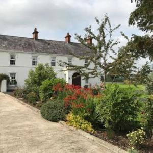 Cherry Tree Cottage Hillsborough - Moira