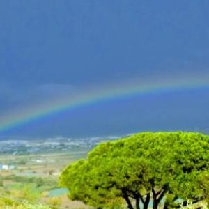 Stunning 1-Bed Apartment in Termini Imerese