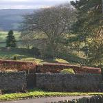 Farm stays in Haltwhistle 