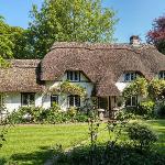 Thatched Eaves Lyndhurst 