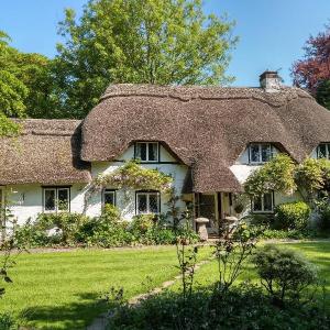 Thatched Eaves