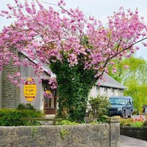 Ach na Sheen Guest House