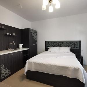 KYD VILA - Studiouri si Apartamente la 100m de Plaja Debarcader