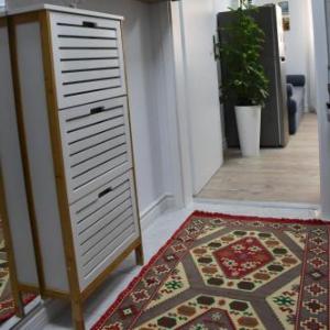 Absolute Cozy Studio