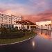 Hotels near First Baptist Church of Orlando - Universal's Endless Summer Resort - Dockside Inn and Suites
