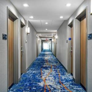 Hotels near Astound Broadband Stadium - Hampton Inn By Hilton Midland South TX