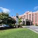 Hotels near Live Oak Bank Pavilion Wilmington - Hampton Wilmington University Smith Creek