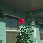 Hotels near Big Cypress Indian Reservation - Immokalee Inn