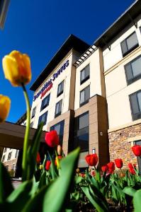 SpringHill Suites by Marriott Logan, Logan