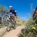 Holiday Inn Express & Suites - Phoenix - Airport North an IHG Hotel