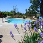 Hotels near Amador County Fair - Shenandoah Inn