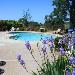 Hotels near Amador County Fair - Shenandoah Inn MAJOR CREDIT CARDS REQUIRED for check in