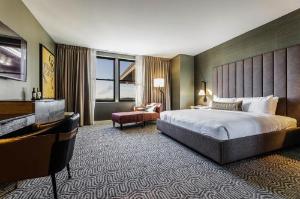 Hotel Vin, Autograph Collection, Grapevine