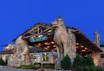 Baylor Med Ctr At Grapevine Texas Hotels - Great Wolf Lodge - Grapevine TX