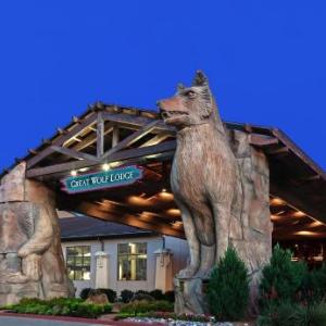 Hotels Near Great Wolf Lodge Dallas in Grapevine, TX United States