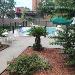 Hotels near Spirit of the Suwannee Music Park - Quality Inn Lake City