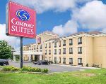 State University Of Ny At Binghamton New York Hotels - Comfort Suites Vestal Near University