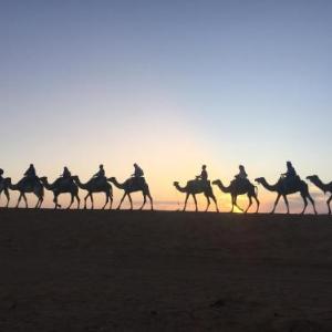 Luxury Desert Queen Camp