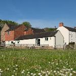 Barn Owl Lodge at Millfields Farm