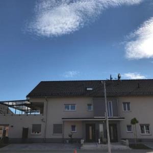 Casa Fridolin - Messe & Zeppelin Apartments