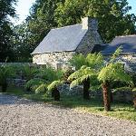 Gîte des Fougères 