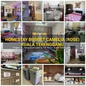 Homestay Camelia Kuala Terengganu - Rose House