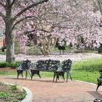 The Magnolia Modern 2BD and 2BTH Luxury Bedding