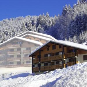 Apartment with 2 bedrooms in Chatel with wonderful mountain view furnished terrace and WiFi 66 km from the slopes