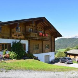 Holiday flats Liebenaualm Dienten - OSB02102f-CYA