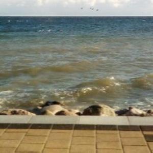 Apartment am Strand Silbermöwe 2 - [#109722]