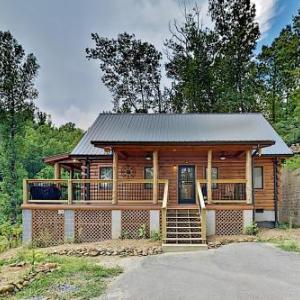 Mountain Wolf's Cabin - Basecamp Near Downtown home