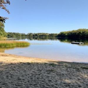 Sunlit Getaway with Chef's Kitchen & Provided Kayaks home