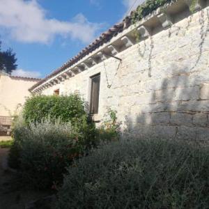 Stazzo di San Trano surrounded by greenery