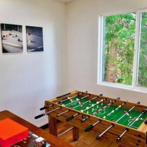 Arrowhead View: Game Room Pet Friendly!