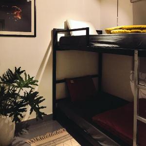 Chờ Ngày Lời Hứa Nở Hoa Homestay