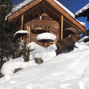 Small traditional chalet near CHAMONIX