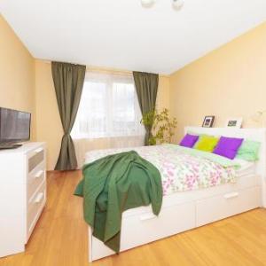 Apartment Olminskogo 10