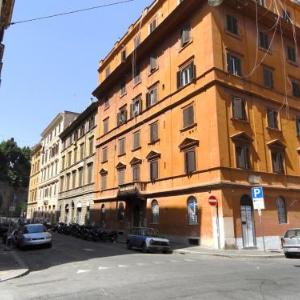 Il nido al Colosseo