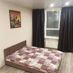 Lovely Apartment in the Very Center of Novosibirsk Novosibirsk