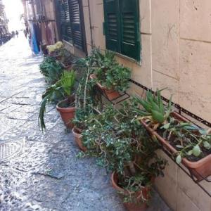 Apartment with one bedroom in Napoli with wonderful city view