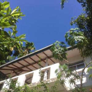 New Toropi Homestay