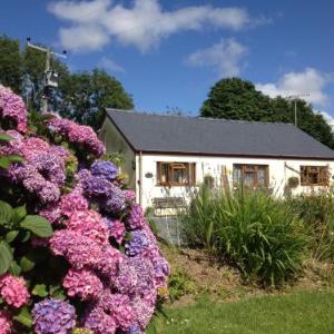 Honeysuckle and Lilac Cottages near Amroth beach......