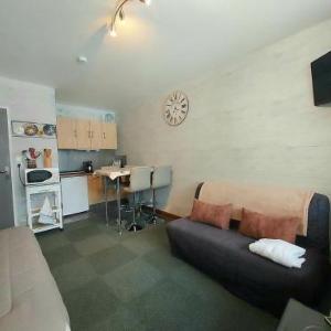 Le 45 studio vue sur le Hohneck