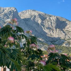 Heaven's View Apartments