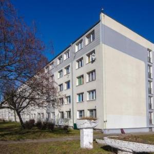 Studio Modesto - ACCO RENT