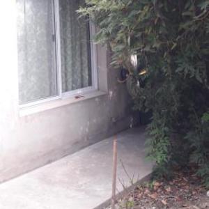 Verde Silencio