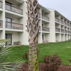 OCEAN DUNES 5308 condo