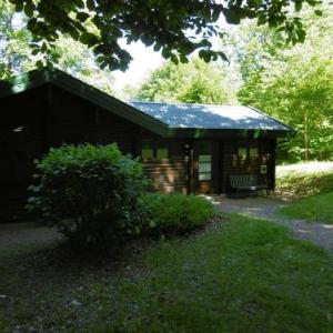 Ferienhaus Nr 110 im Ferienpark Twistesee - a52550