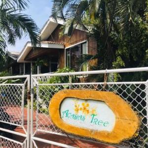 Villa acacias tree