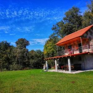 House on the river Plavnica